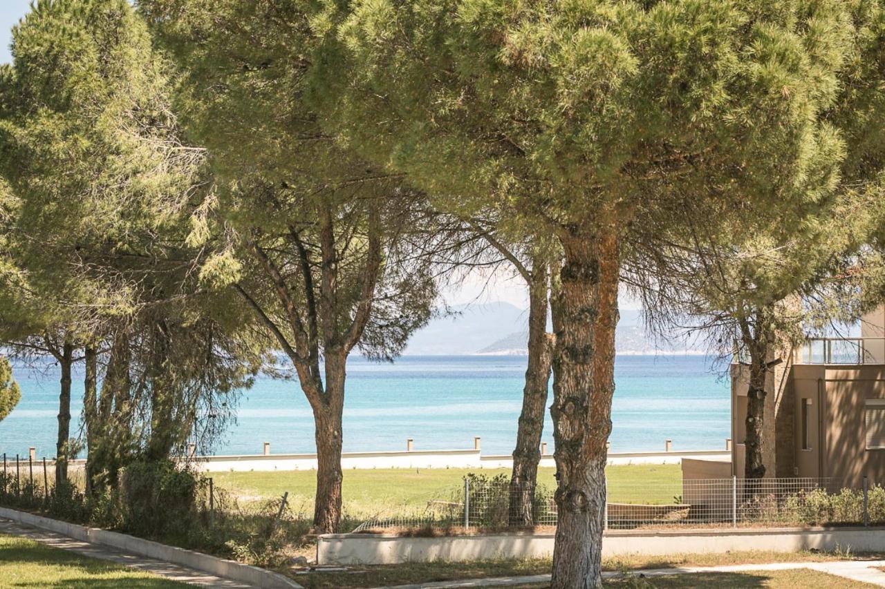 #Flh - Amalthia & Αthena Beachfront Houses In Pefkohori Buitenkant foto